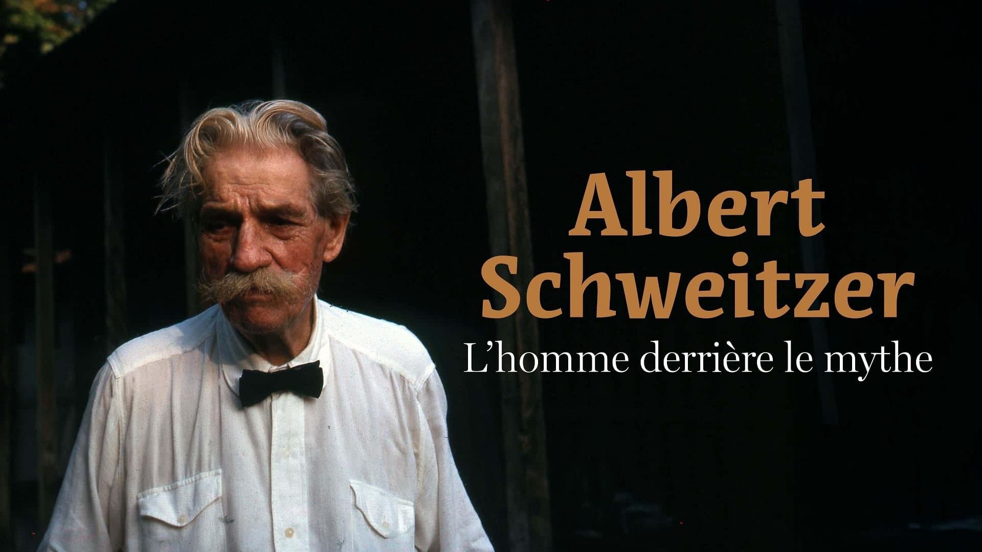 Albert Schweitzer - The Man Behind the Myth backdrop