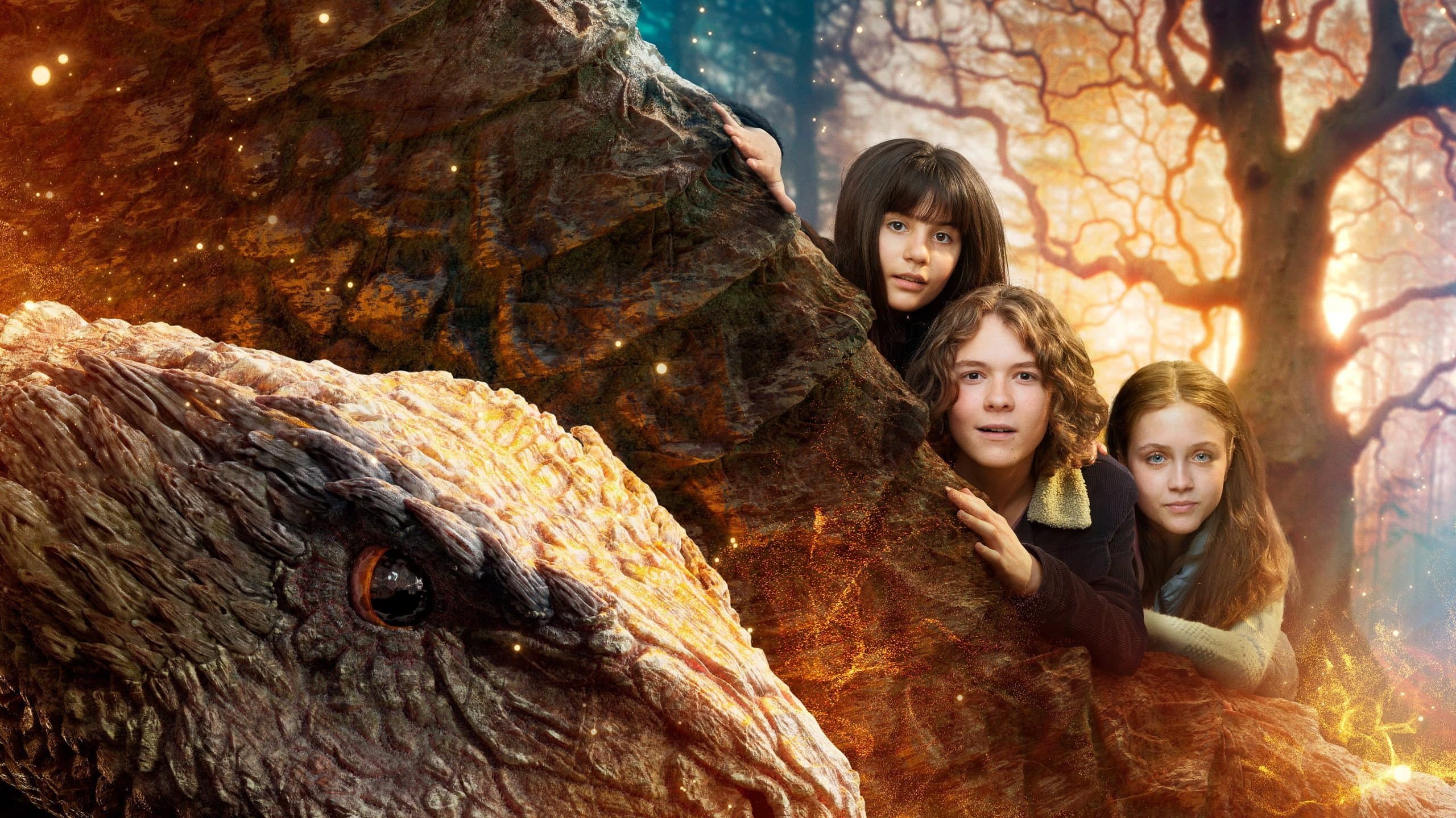 Valdes Jul - Vintermiraklet backdrop