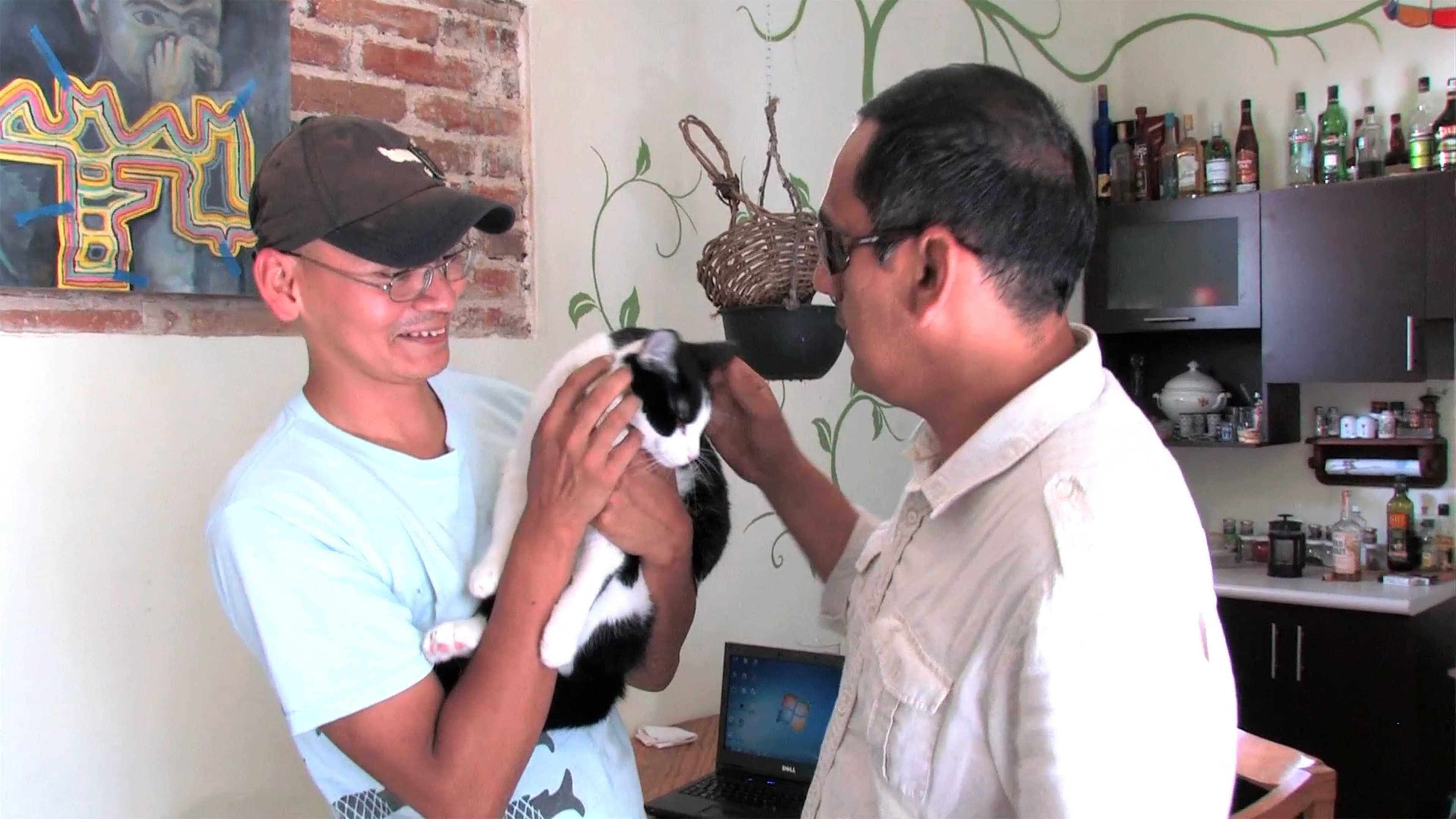 Along Came a Catdidate backdrop