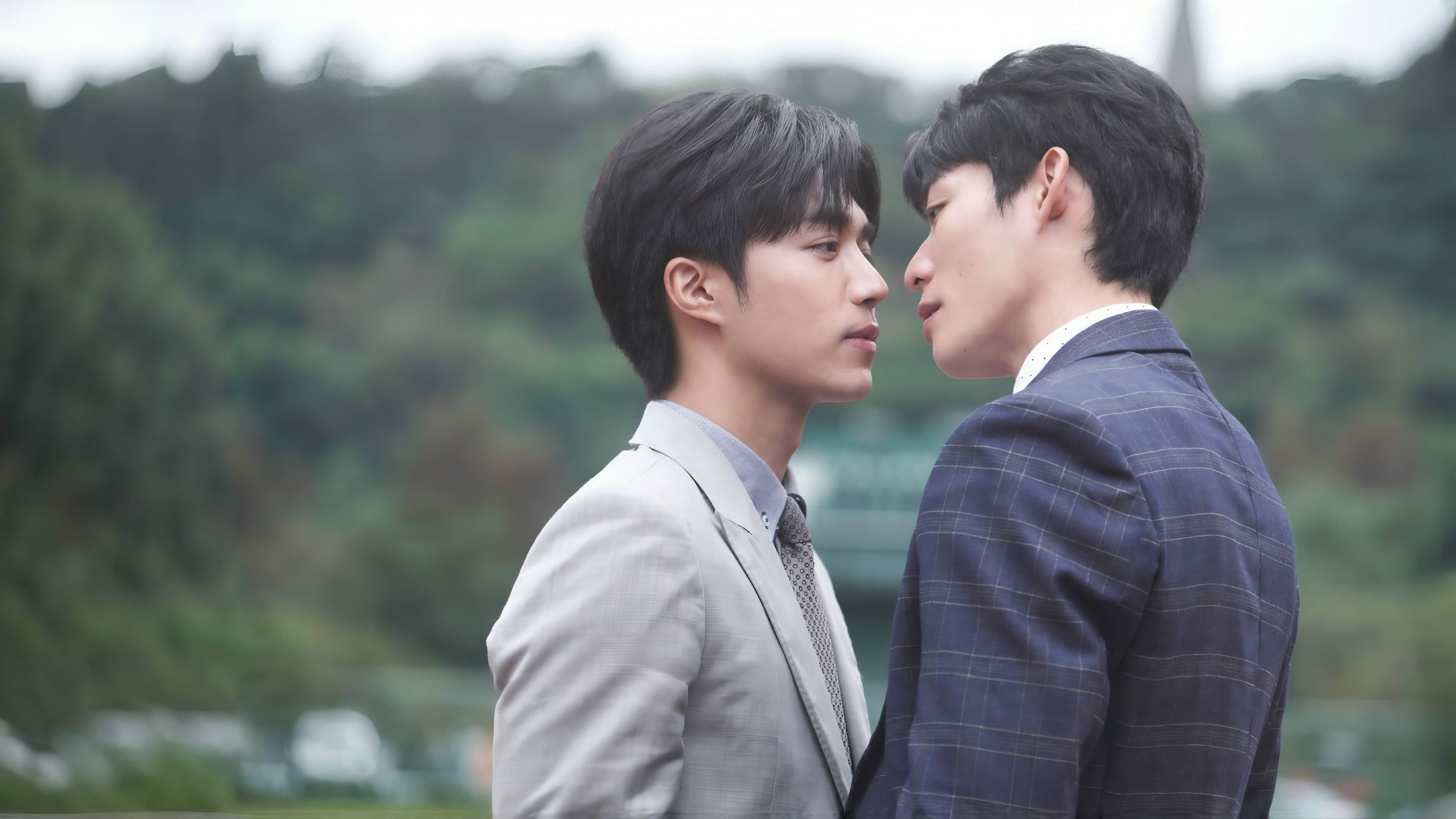 Plus & Minus backdrop